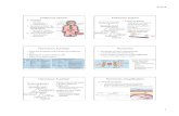 Ch 15 Endocrine system - Vertebrate Physiology · Ch 15_Endocrine system.pptx Author: Katie Stumpf Created Date: 2/7/2014 4:41:20 PM ...
