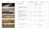 Hoëveld Springbok 7 15 22 4 7 11 - Vleissentraal Katalogus.pdf · Oryx Game Dealers Ermelo Hoë 2 2A veld Blesbok Ram 18” Ooie 14 ½” tot 15” Lewering Aug./Sept. 1 15 6 15