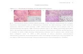 Lippincott Williams & Wilkins€¦  · Web viewSakai T, Kondo M, Yoshii S, Tomimoto H. IgG4-related disease that presented cranial, cervical, lumbar and sacral hypertrophic pachymeningitis