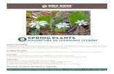 SPRING PLANTS · SPRING PLANTS ADVENTURE IN LEARNING LESSON Lesson Description This lesson focuses on flowering plant anatomy and reproductive traits. Participants will watch a video