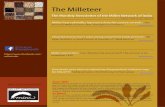 The Milleteer - Millet Network of India · PDF file Manik Rao from Planet and People, BHEL, a private organisation which promotes ... for using new hybrid seeds because there were