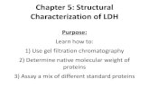 Chapter 5: Structural Characterization of LDH · Procedure: Chapter 5-Week 1 After protein almost completely loaded, add buffer to top and attach buffer reservoir Collect fractions