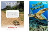 Turtle! Tortoise! · 2018. 10. 10. · The largest tortoise is the Galapagos tortoise. It is about 5 feet long and weighs about 500 pounds. The smallest tortoise is the Speckled Cape