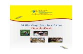 NSDC Skill Gap Study of the North East - Assaminskills.co.in/download/States/Assam - SGR.pdf · 2013. 11. 29. · NSDC Skill Gap Study of the North East - Assam 7 While this requires