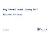 Big Mental Health Survey 2017: Headline Findings€¦ · Opportunity to provide feedback Yes, definitely Yes, to some extent No, but I would have liked this No, but it was not necessary