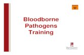 Bloodborne Pathogens Training - Bethany Lutheran College OSHA¢â‚¬â„¢S Bloodborne Pathogen Standard 29CFR
