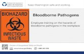 Bloodborne Pathogens Trainng Kit - Dental Professionalsdentalp.com/wp-content/uploads/...Bloodborne-Pathogens-Training-2… · Bloodborne Pathogens (BBP) Training Washington Industrial
