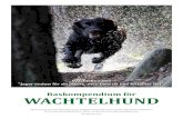 Raskompendium för WACHTELHUNDwachtelhundklubben.com/wp-content/uploads/2019/10/Raskompendi… · Text saxad ur Tysk Wachtelhund, ... Grupp 8, sektion 2.Med arbetsprov Bakgrund/ändamål