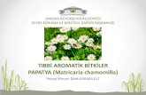 PAPATYA (Matricaria chamomilla) - ankara.bel.tr€¦ · Ankara Büyükşehir Belediyesi Çevre Koruma ve Kontrol Dairesi Başkanl ... masaj yapılır. bu tedavi 2 saatte bir, 5-10