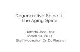 Degenerative Spine 1: The Aging Spine · Other effects of disc degeneration Rapid loss of disc height under load in degenerate discs causes the following: 1. apophyseal joints adjacent