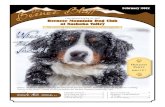 Bernese Mountain Dog Club of Nashoba Valley Where’s the Snow?! · July 29: Vermont Summer Picnic Saint Johnsbury, VT 2 New Members Showcase Meghan, Brian & London Perlow; Marblehead,