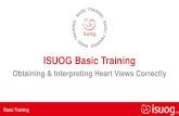 ISUOG Basic Training · Lungs, 4 chamber view of heart Left ventricular outflow tract (LVOT) Right ventricular outflow tract (RVOT) & crossover of LVOT 3 vessel trachea (3VT) view