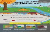 Leaves-Poster-FINAL ENGWHERE you LEAVE youa LEAVES MATTERS! Leaves fall to the ground, creating large amounts of This causes 2 problems: DRAINS TO RIVER Leaves raked into streets clog