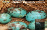 Spring Fish & Wildlife NewsU.S. Fish & Wildlife Service Spring 2016 Fish & Wildlife News Get the News online weeks ahead of print. Visit  spotlight Invasive