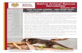 Native Animal Rescue Newsletter · snake removalists registered with the Wildcare Helpline. Inside Story Headline Native Animal Page 4 Rescue Newsletter Hungry tummies We have a huge