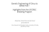 Genetic Engineering of Citrus to defeat HLB – Highlights ... · Genetic Engineering of Citrus to ... Breeding Program . Key Points from our transgenic research: • UF-CREC Breeding
