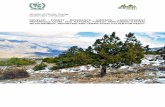DEVELOP FOREST REFERENCE EMISSION LEVELS/FOREST REFERENCE LEVEL AND ... - REDD+ Pakistan · 2019. 7. 15. · NSDI National spatial data infrastructure NTFP Non-Timber Forest Product