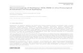 Neuroimaging of Epilepsy: EEG-fMRI in the Presurgical Evaluation of Focal · PDF file 2013. 12. 17. · Neuroimaging of Epilepsy: EEG-fMRI in the Presurgical Evaluation of Focal Epilepsy.