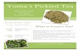 Yoma’s Pickled Tea · 2020. 1. 25. · your Burmese pickled tea needs in being a pioneer for introducing and expanding the Burmese pickled tea phenomenon into the U.S. market by