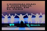 Criminalidad y violencia - Centro de Recursos Interculturalescentroderecursos.cultura.pe/sites/default/files/rb/... · caso de Perú los registros oficiales de la Policía Nacional