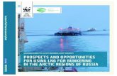 PROSPECTS AND OPPORTUNITIES IN THE ARCTIC ......ing passenger ferries, patrol, support and replenishment ships, and dry-cargo ships, tankers, cruisers, dredgers, and towing vessels.