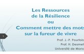Les Ressources de la Résilience ou Comment mettre des mots … · 2019. 12. 2. · Les Ressources de la Résilience ou Comment mettre des mots sur la fureur de vivre Prof. J.-P.