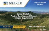 Cerro Caliche · 2020. 5. 26. · Cerro Caliche ProjectQualified Person 2 All scientific or technical information contained in this presentation has been reviewed and approved by