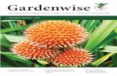 Gardenwise · 2020. 8. 25. · Gardenwise • Volume 55 • August 2020 3 Article (Top) The Heritage Shorea gratissima flowering in the Rain Forest, and (bottom) collection of fertile