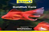 Goldfish Care - Amazon S3 · Goldfish are ideal pets for children, being fun and interesting, as well as teaching responsibility without the demands of a larger pet. In addition,