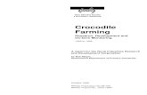 Crocodile Farming - Agrifutures Australia · commercial farming of the Australian saltwater crocodile – most of the literature has been on the American alligator, which is a much