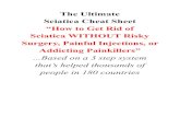 The Ultimate Sciatica Cheat Sheet “How to Get Rid …painfreeinstitute.net/.../2016/05/Webinar-Cheat-Sheet.pdfThe Ultimate Sciatica Cheat Sheet “How to Get Rid of Sciatica WITHOUT