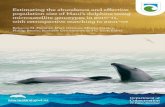 Hector's and Maui's Dolphin SOS - Estimating the abundance and … · 2018. 9. 6. · dolphin migrants, to describe individual movements, and to estimate the abundance, population