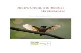 labuanislandbirds.files.wordpress.com  · Web view2017. 5. 17. · BIRDWATCHING IN BRUNEI DARUSSALAM . FOLKERT HINDRIKS, JUNE 2015 . INTRODUCTION ..... 3. GENERAL INFORMATION .....