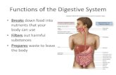 Functions of the Digestive Systemhughesh.weebly.com/uploads/2/2/0/0/22004468/digestive-system14.pdfCheck For Understanding Which of the following is a function of the digestive system?