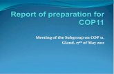 Meeting of the Subgroup on COP 11, Gland, 17 th · 2015. 1. 8. · Bucharest , Parliament's Palace, Bucharest International Conference Centre. Available Space 10 000 sqm (conference