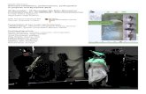 Gisela Weimann Selected exhibitions, performances ... · Gisela Weimann, „Arrival in Europe ... moments of silence and turmoil appear on the image levels of the video channels.