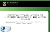 EFFECT OF HYPOXIA/ANOXIA ON N CYCLING PROCESSES IN …archive.riversymposium.com/index.php?element=M_s3... · Water column Sediment Prolonged hypoxic/anoxic conditions Hypoxia = dO