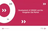 Development of CEEGEX and the Hungarian Gas Market prezik/WS CEEGEX p… · New market maker Very proactive sales activity More international players (+8 members) Growing volume 46