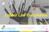 Labour Law Compliance - Enabling World€¦ · •Workplace Investigations •Labour Law Compliance •HR Audit Competencies … more General Management •Building Effective Partnership