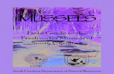 Field Guide to the Freshwater Mussels of South Carolina · 2020. 6. 11. · Mussels belong to the class Bivalvia within the phylum Mollusca. North American freshwater mussels are