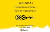 BIOLOGIA I Histologia animal Tecido conjuntivo I...BIOLOGIA I Histologia animal – Tecido conjuntivo I Prof.: Anderson Marques de Souza Juiz de Fora_2020 BIOLOGIA I Tecidos conjuntivos