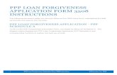 PPP LOAN FORGIVENESS APPLICATION FORM 3508 …...PPP LOAN FORGIVENESS APPLICATION FORM 3508 INSTRUCTIONS The following document walks you through filling out the 3508 (long form),