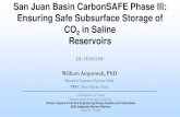 San Juan Basin CarbonSAFE Phase III: Ensuring …...San Juan Basin CarbonSAFE Phase III: Ensuring Safe Subsurface Storage of CO 2 in Saline Reservoirs DE-FE0031890 William Ampomah,