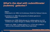 What's the deal with submillimeter (submm) galaxies? · 2009. 12. 8. · What's the deal with submillimeter (submm) galaxies? Papers: Chakrabarti et al. 2008, An Evolutionary Model
