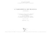 carmina burana score 7.10.2012 - Edizioni Eufonialnx.edizionieufonia.it/.../uploads/pdf/carmina_burana.pdfCarmina burana è una cantata scenica composta da Carl Orff tra il 1935 e