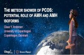THE METEOR SHOWER OF PCOS: POTENTIAL ROLE OF AMH AND …ologyeducation.org/luteinizinghormone/pdf/L9_Andersen.pdf · 2020. 3. 30. · Revised 2003 criteria (2 out of 3): 1. Oligo-