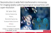 Reconstruction in wide-field interferometric microscopy for … · 2018. 10. 12. · •Motivation – Biological Nanoparticles everywhere •Problem definition – contrast and size