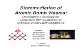 Bioremediation of Atomic Bomb Wastes - FRTR · 2013. 5. 11. · Shelly Kelly. Kenneth Kemner. Argonne National Laboratory. Retec. Robert Hickey. Raj Rajan. Daniel Wagner. University