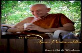 Samadhi and Wisdom - Forest Dhamma and... · 2018. 8. 21. · 1 Fundamentals of Meditation The first thing we need to talk about is the need for meditation practice, and why one is
