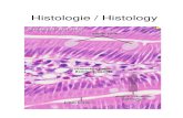 Histologie / Histology · 2020. 5. 9. · Periosteum en digte matriks noodsaak kanale ir voeding van osteoblaste en osteosiete (kraakbeen is waterig en diffusie kan plaasvind), reëlmatige